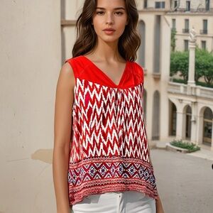 Elaine Rose red embroidered chevron print top 1x